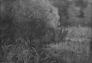 在芦苇 作者 洛维斯·科林斯（Lovis Corinth）